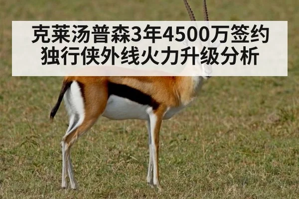 克莱汤普森3年4500万签约独行侠外线火力升级分析